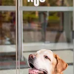 Hotel Ibis 3*