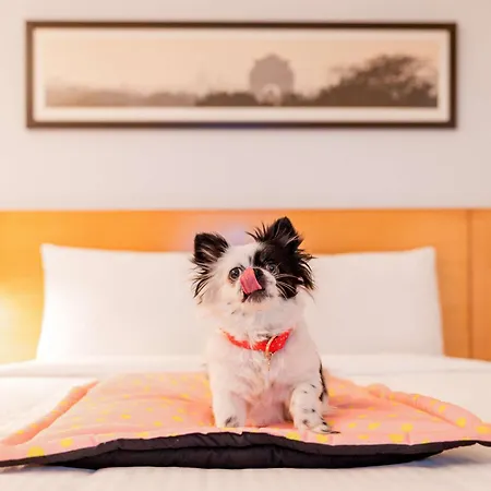 Hotel Ibis