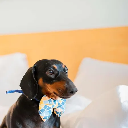 Ibis Hotel Heilbronn