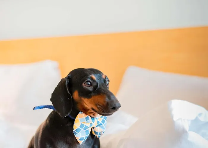 Ibis Hotel Heilbronn